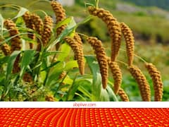 कैंसर टॉनिक के नाम से मशहूर ये दुनिया का सबसे पुराना मिलेट, डाइट में शामिल करने पर मिलेंगे ये फायदे