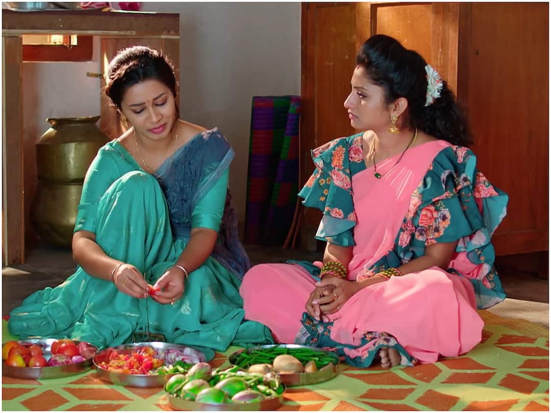 Janaki Kalaganaledu Serial January 21st Episode 483 Written Update Today Episode Janaki Kalaganaledu January 21st: ఇంట్లో నుంచి వెళ్లిపొమ్మని చెప్పిన మల్లిక, గడ్డి పెట్టిన వెన్నెల- ఇంటికి సాయం చేద్దామన్న విష్ణు