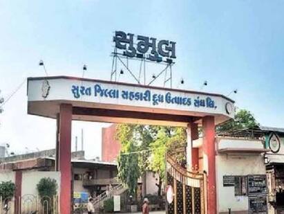 Three dairy officials were terminated due to maladministration in Sumul Dairy SURAT: સુમુલ ડેરીના 3 મોટા અધિકારીઓની અચાનક હકાલપટ્ટી કરવામાં આવતા દક્ષિણ ગુજરાતના સહકારી ક્ષેત્રમાં ખળભળાટ