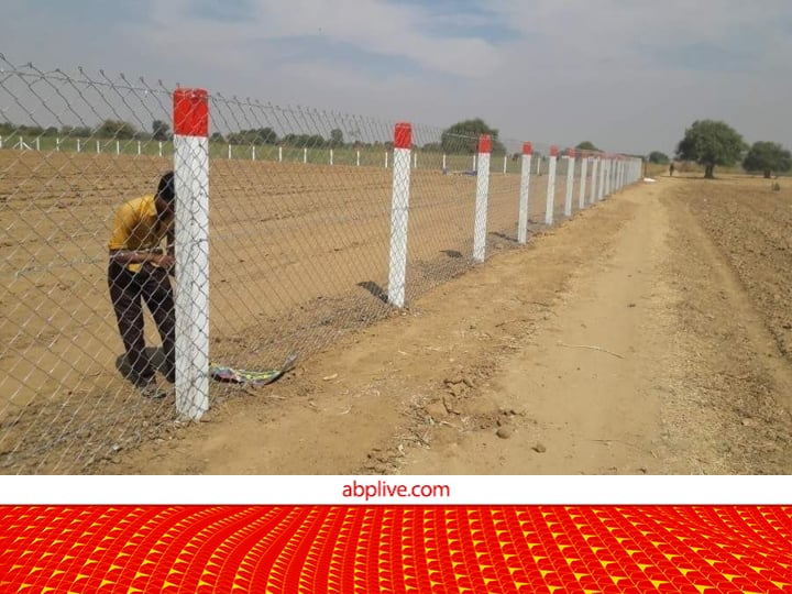 60 percent subsidy on the total cost of Farm field fencing Upto 48000 grant in Rajasthan Agriculture Scheme: इस राज्य में खेतों की तारबंदी के लिए 48,000 रुपये का अनुदान, कुल खर्च पर 60% सब्सिडी मिल रही है
