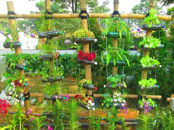 Gardening Tips : Vegetable Gardening in Plastic Bottles or how to grow Plants Gardening Tips: ખેતર ના હોય તો શું થયું, આ રીતે ઘરે જ ઉગાડો તાજી શાકભાજી