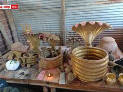 Nagoba Jatara : ఆదివాసీల ఆరాధ్య దైవం నాగోబా జాతర ప్రారంభం, మెస్రం వంశీయుల ప్రత్యేక పూజలు