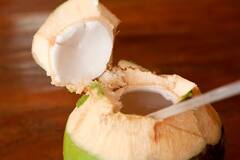 Coconut Water : नारळाचं पाणी सगळेच पितात, पण नारळात पाणी येतं कुठून?