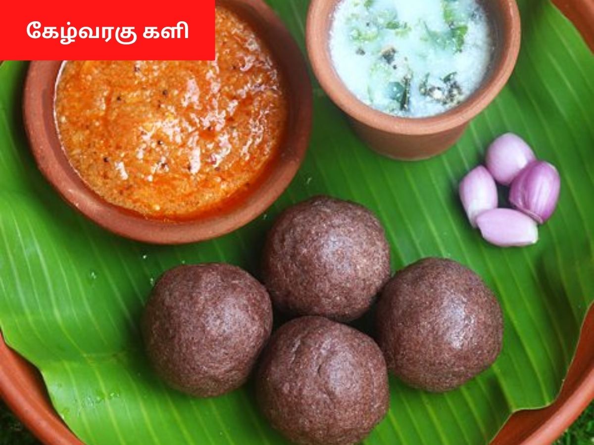 Food Recipes: ’கேழ்வரகு களி முதல் மசாலா தோசை வரை’ - குடியரசு தினத்தன்று சமைத்து சாப்பிடுவதற்கு ஏதுவான நம்ம ஊர் உணவுகள்!