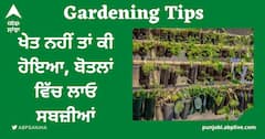Gardening Tips: ਖੇਤ ਨਹੀਂ ਤਾਂ ਕੀ ਹੋਇਆ, ਬੋਤਲਾਂ ਵਿੱਚ ਲਾਓ ਸਬਜ਼ੀਆਂ, ਮਿਲੇਗੀ ਚੋਖੀ ਪੈਦਾਵਾਰ