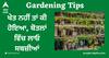 Gardening Tips: ਖੇਤ ਨਹੀਂ ਤਾਂ ਕੀ ਹੋਇਆ, ਬੋਤਲਾਂ ਵਿੱਚ ਲਾਓ ਸਬਜ਼ੀਆਂ, ਮਿਲੇਗੀ ਚੋਖੀ ਪੈਦਾਵਾਰ