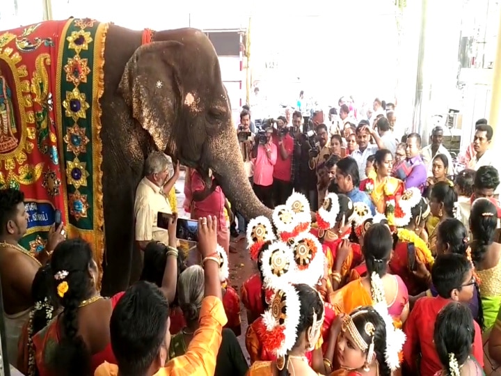 வானமுட்டி பெருமாள் ஆலய திருத்தேரோட்டம் - திரளான பக்தர்கள் வடம் பிடிப்பு