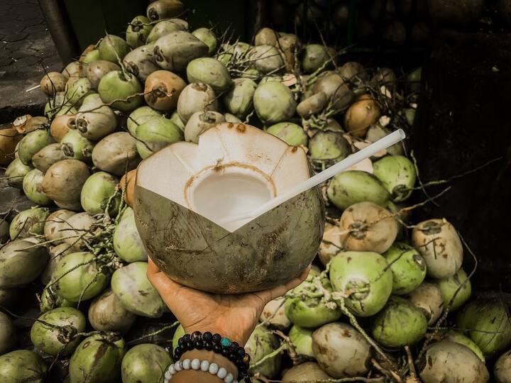 कच्च्या हिरव्या नारळातील एंडोस्पर्म हे न्यूक्लियर प्रकारचे असते आणि ते रंगहीन द्रवाच्या स्वरूपात असते, ज्यामध्ये अनेक केंद्रके तरंगत राहतात.