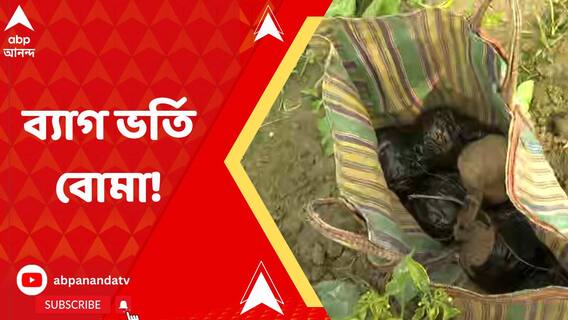 পঞ্চায়েত ভোটের আগে ভাঙড়ে ফের উদ্ধার হল বোমা