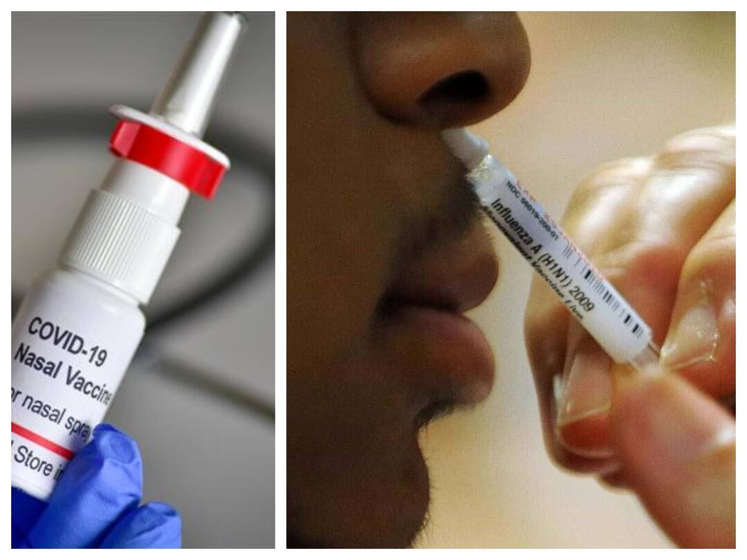 Intranasal Vaccine: குடியரசு தினத்தில் இந்தியாவில் அறிமுகமாகிறது மூக்கு வழி செலுத்தும் கொரோனா தடுப்பு மருந்து