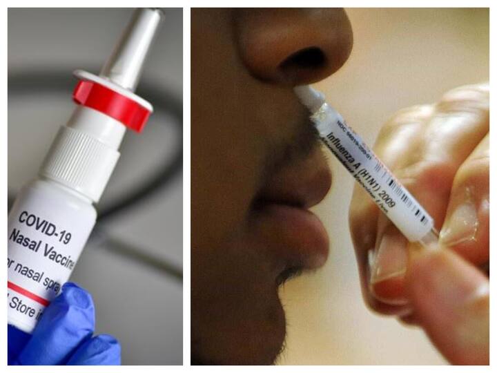 Intranasal Vaccine Bharat Biotech’s nasal vaccine likely to be launched on January 26 Intranasal Vaccine: குடியரசு தினத்தில் இந்தியாவில் அறிமுகமாகிறது மூக்கு வழி செலுத்தும் கொரோனா தடுப்பு மருந்து
