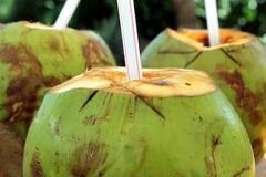 Coconut Water : नारळाचं पाणी सगळेच पितात, पण नारळात पाणी येतं कुठून?