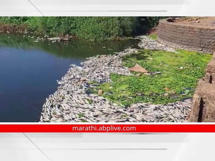 rajendra singh rana says address the pollution of Rankala Lake Panchganga River rather than beautification पंचगंगा नदी, रंकाळ्याचे सुशोभीकरणापेक्षा दिवसागणिक वाढत असलेल्या प्रदुषणाकडे लक्ष द्या; प्रख्यात जलतज्ज्ञांचा सल्ला
