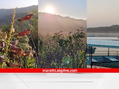 महाराष्ट्राचे 'मिनी काश्मीर' धुक्यात हरवलं!