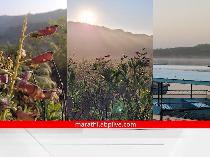 Weather Updates : महाराष्ट्राचे (Maharashtra) मिनी काश्मीर समजले जाणारे महाबळेश्वरमध्ये तापमान  (Mahabaleshwar Temperature) चांगलेच घसरले आहे. महाबळेश्वरमध्ये  9 अंश सेल्सिअस तापमानाची नोंद झाली आहे.
