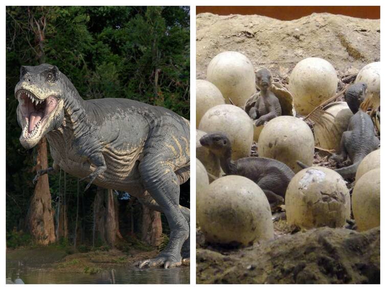Rare Dinosaur Egg Found In madhya pradesh 256 dinosaur egg found Know details Dinosaur Egg: ஒன்றல்ல.. இரண்டல்ல.. மத்திய பிரதேசத்தில் 256 டைனோசர் முட்டைகள் கண்டுபிடிப்பு - ஆய்வில் புதிய திருப்பம்
