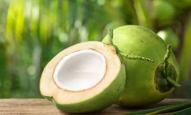 ਕਈ ਵਾਰ ਹਰੇ ਨਾਰੀਅਲ ਨੂੰ ਦੇਖ ਕੇ ਬੱਚਿਆਂ ਦੇ ਮਨ 'ਚ ਸਵਾਲ ਉੱਠਦਾ ਹੈ ਕਿ ਨਾਰੀਅਲ 'ਚ ਪਾਣੀ ਕਿੱਥੋਂ ਆਉਂਦਾ ਹੈ। ਫਿਰ ਮਾਪੇ ਆਪਣੇ ਇਸ ਸਵਾਲ ਨੂੰ ਟਾਲ ਦਿੰਦੇ ਹਨ, ਪਰ ਅਸਲ ਵਿੱਚ ਇਹ ਜਾਣਨ ਦੀ ਗੱਲ ਹੈ ਕਿ ਇੰਨੇ ਠੋਸ ਅਤੇ ਦਰੱਖਤ 'ਤੇ ਇੰਨੀ ਉਚਾਈ 'ਤੇ ਲਗਾਏ ਗਏ ਨਾਰੀਅਲ ਵਿੱਚ ਪਾਣੀ ਕਿੱਥੋਂ ਆਉਂਦਾ ਹੈ।