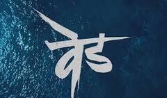 Ved : चौथ्या आठवड्यातही 'वेड'ची घौडदौड सुरुच!