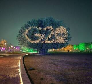 G20 Summit Gujarat Live: ગુજરાતનો ખેડૂત પણ પોતાની વાતને ધંધા સાથે જોડે છેઃ પિયુષ ગોયલ