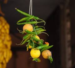 Astrology: રસ્તામાં પડેલી આ ચીજોને ભૂલથી પણ ન કરો સ્પર્શ, જાણો શું છે કારણ