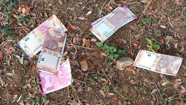 dharmapuri: harur banknote sample sheets scattered on the roadside in the forest TNN சாலையோரம் சிதறி கிடந்த ரூபாய் நோட்டுகள்..? - ஏமாந்து போனா மக்கள்