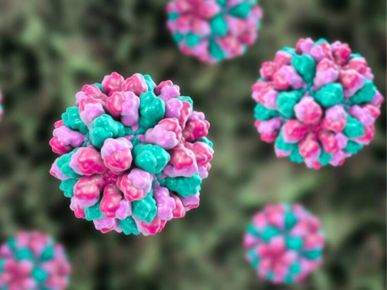 Norovirus in Kerala: infected school students undergoing treatment know cause, symptoms and details What Are The Symptoms Of Norovirus? All About The Virus Reported From Kerala