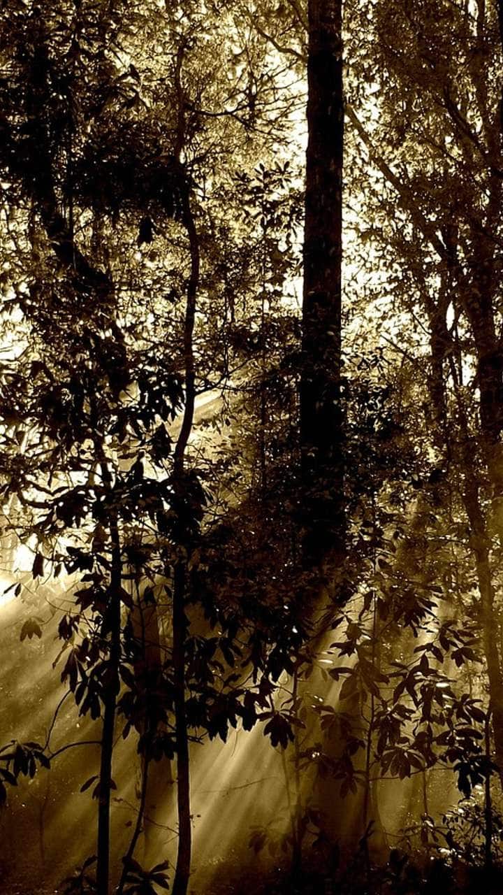 கோவை -  23 டிகிரி செல்சியஸ்