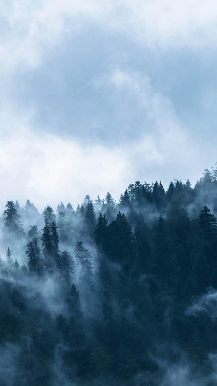 சென்னை - 25  டிகிரி செல்சியஸ்