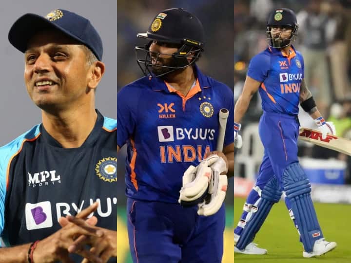 Coach Rahul Dravid said – Virat-Rohit and Rahul are not out of T20 plan, also spoke on different captains