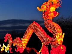 क्या है Lunar New Year? जहां जश्न मना रहे लोगों पर चलीं अंधाधुंध गोलियां, 10 लोगों की मौके पर मौत