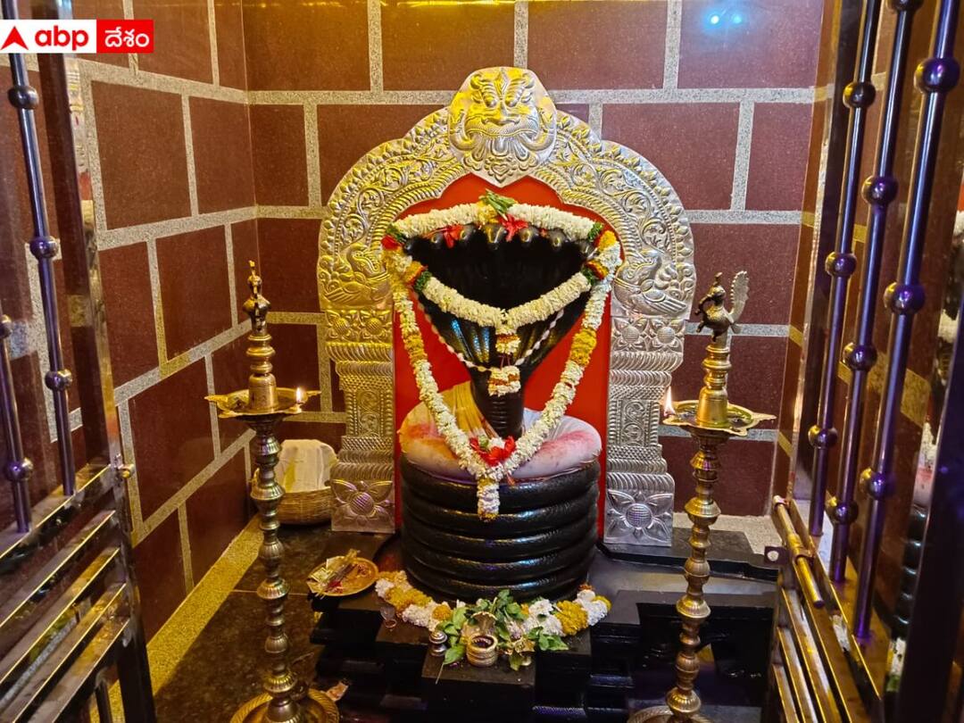 Nagoba Jatara Satyavathi Rathod and Allola Indrakaran Reddy to visit Nagoba Temple DNN 24న నాగోబా జాతరకు మంత్రులు సత్యవతి రాథోడ్, ఇంద్రకరణ్ రెడ్డి - విద్యా సంస్థలకు సెలవు