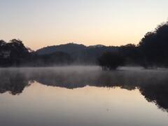 In Pics: मावठ से पहले कोहरे की आगोश में समाया उदयपुर, अचानक से बढ़ी ठंड, देखें तस्वीरें