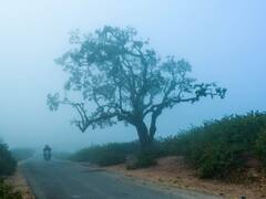 In Pics: मावठ से पहले कोहरे की आगोश में समाया उदयपुर, अचानक से बढ़ी ठंड, देखें तस्वीरें