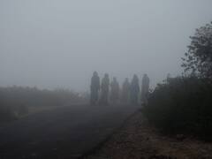 In Pics: मावठ से पहले कोहरे की आगोश में समाया उदयपुर, अचानक से बढ़ी ठंड, देखें तस्वीरें