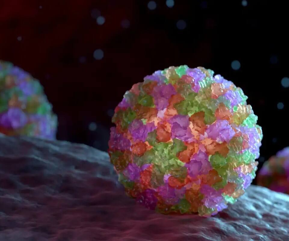 Norovirus in Kerala: infected school students undergoing treatment know cause, symptoms and details Norovirus Symptoms: ભારતમાં કોરોના બાદ હવે નોરોવાયરસની એન્ટ્રી, જાણો કેટલો ઘાતક છે આ વાયરસ?