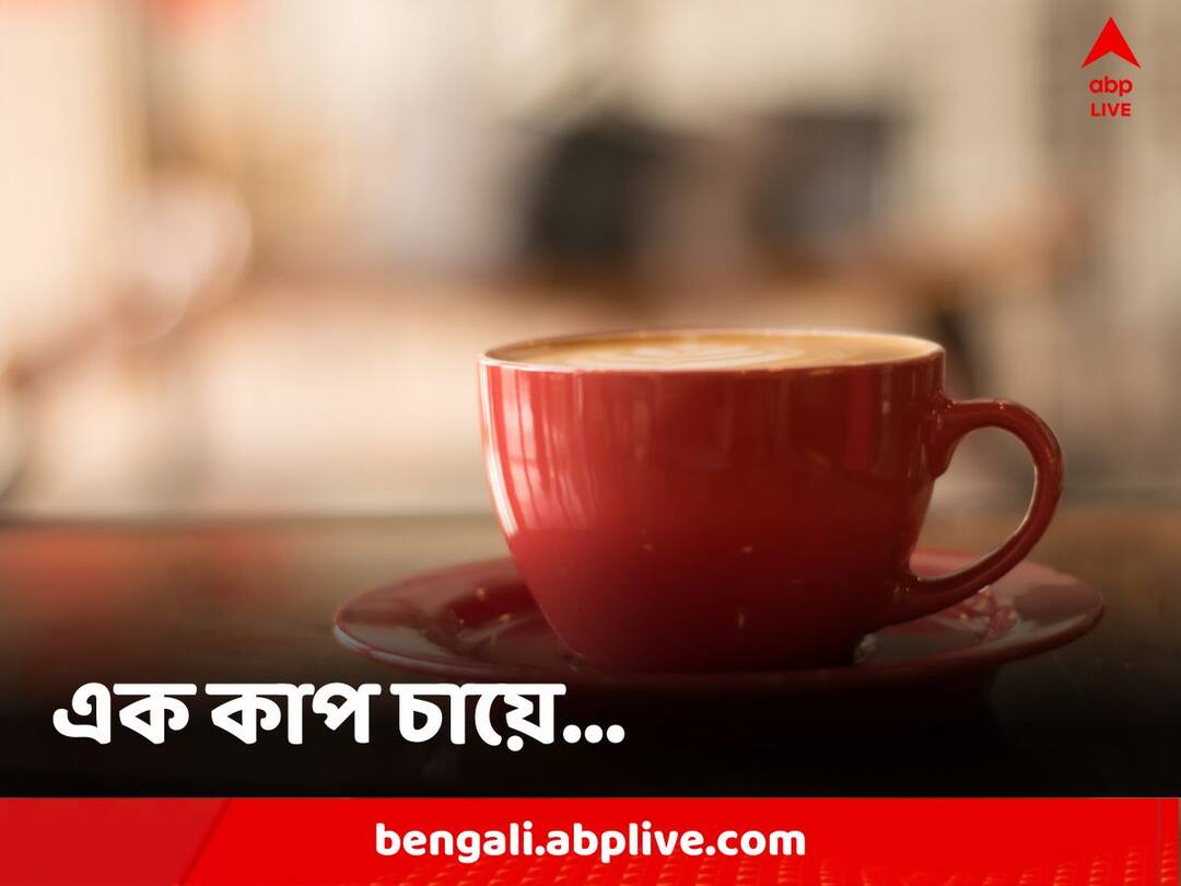 Black, Green, White Tea, which has more antioxidants and caffeine, which is better tea Tea Tips: ব্ল্যাক-গ্রিন নাকি হোয়াইট? কোন চায়ে লুকিয়ে বেশি গুণ?