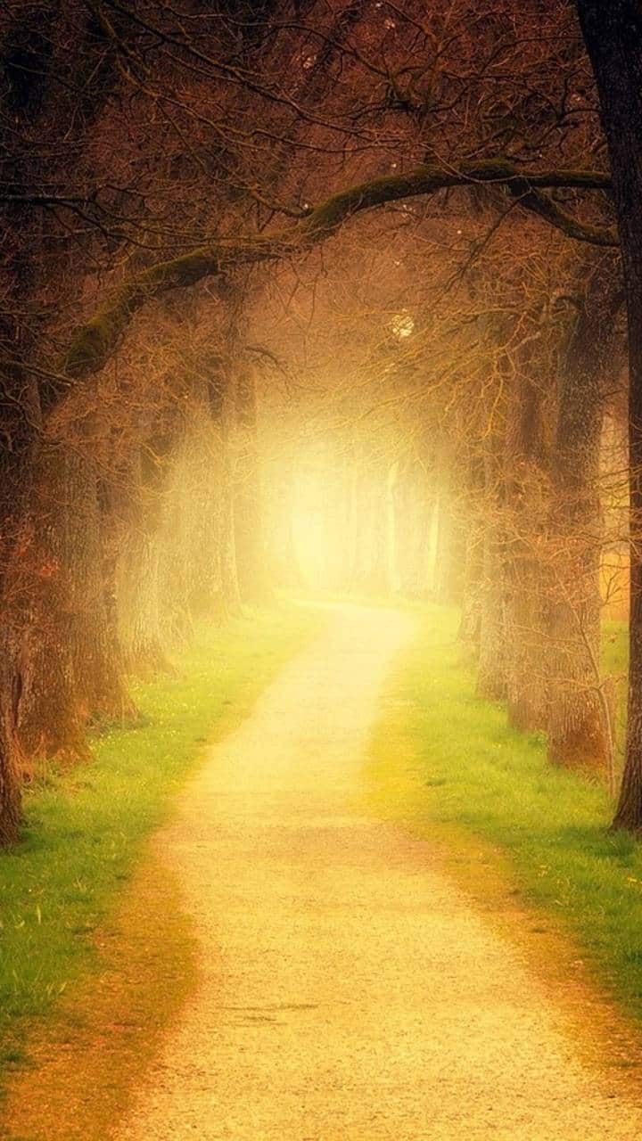 வேலூர் -  20 டிகிரி செல்சியஸ்