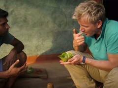 In Pics: बस्तर के हाट बाजारों में चापड़ा चींटी की भारी डिमांड, इसके लिए क्यों मुंह मांगी कीमत भी देते हैं पर्यटक, देखें तस्वीरें