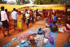 In Pics: बस्तर के हाट बाजारों में चापड़ा चींटी की भारी डिमांड, इसके लिए क्यों मुंह मांगी कीमत भी देते हैं पर्यटक, देखें तस्वीरें