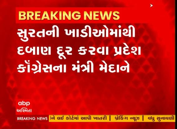 Surat: ખાડીઓમાંથી દબાણ દૂર કરવા Congressના મંત્રી દર્શન નાયકે કરી કલેક્ટરને અરજી, જુઓ વીડિયો