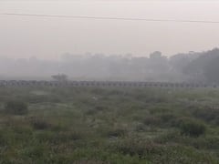 Karpa Disease on Onion : धुळ्यात गारठा कायम, कांदा पिकावर करपा रोगाचा प्रादुर्भाव वाढला