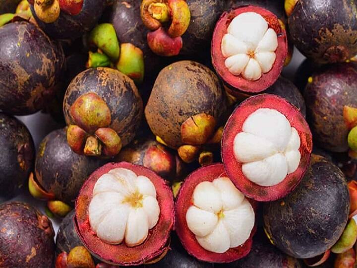 mangosteen fruit farming Farmers can earn lakhs of rupees Mangosteen: मैंगोस्टीन की खेती में मेहनत कम, मुनाफा ज्यादा...खेती करने के लिए इन टिप्स का ले सकते हैं सहारा