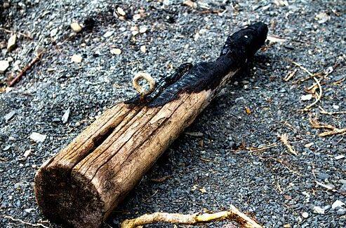 બળેલું લાકડું: જો તમને રસ્તામાં બળી ગયેલું લાકડું અથવા બળી ગયેલા લાકડાની રાખ મળે, તો તેના પર પગ ન મૂકશો અથવા તેને ક્રોસ કરીને રસ્તો ક્રોસ કરશો નહીં. કારણ કે બળેલા લાકડામાં નકારાત્મક ઉર્જા હોય છે અને તે તમારા પર નકારાત્મક અસર કરી શકે છે.