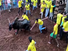 புனித அந்தோணியார் கோவில் ஆண்டுத் திருவிழாவை முன்னிட்டு ஜல்லிக்கட்டு போட்டி