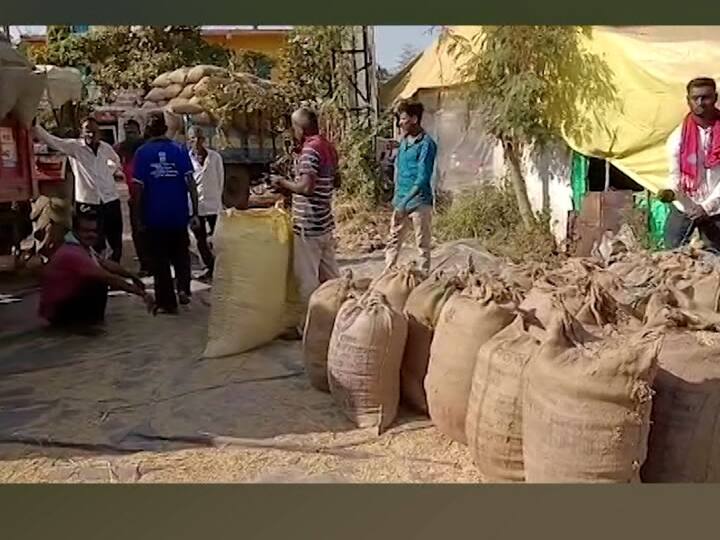 भंडारा जिल्ह्यात मोठ्या प्रमाणात धान खरेदी झाली आहे.