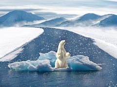 Climate Chage: குளிர்காலத்தில் மழை...தொடரும் பருவநிலை மாற்றம்... காரணம் என்ன?