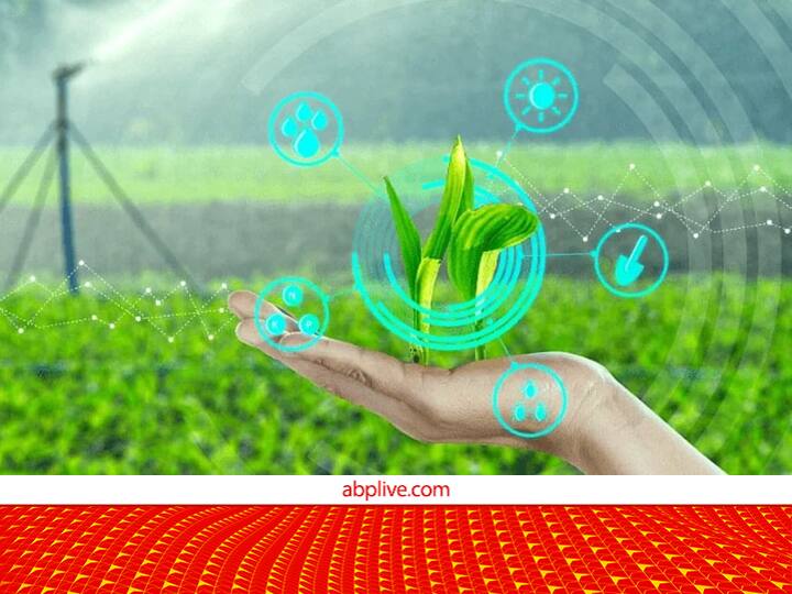 यूपी के किसानों के लिए अच्छी खबर! अब मौसम की अनिश्चितताओं से बर्बाद नहीं होंगी फसलें, मिलने वाली है ये सुविधा UP farmers Will get Real time weather updates to save Crops from natural disasters यूपी के किसानों के लिए अच्छी खबर! अब मौसम की अनिश्चितताओं से बर्बाद नहीं होंगी फसलें, मिलने वाली है ये सुविधा