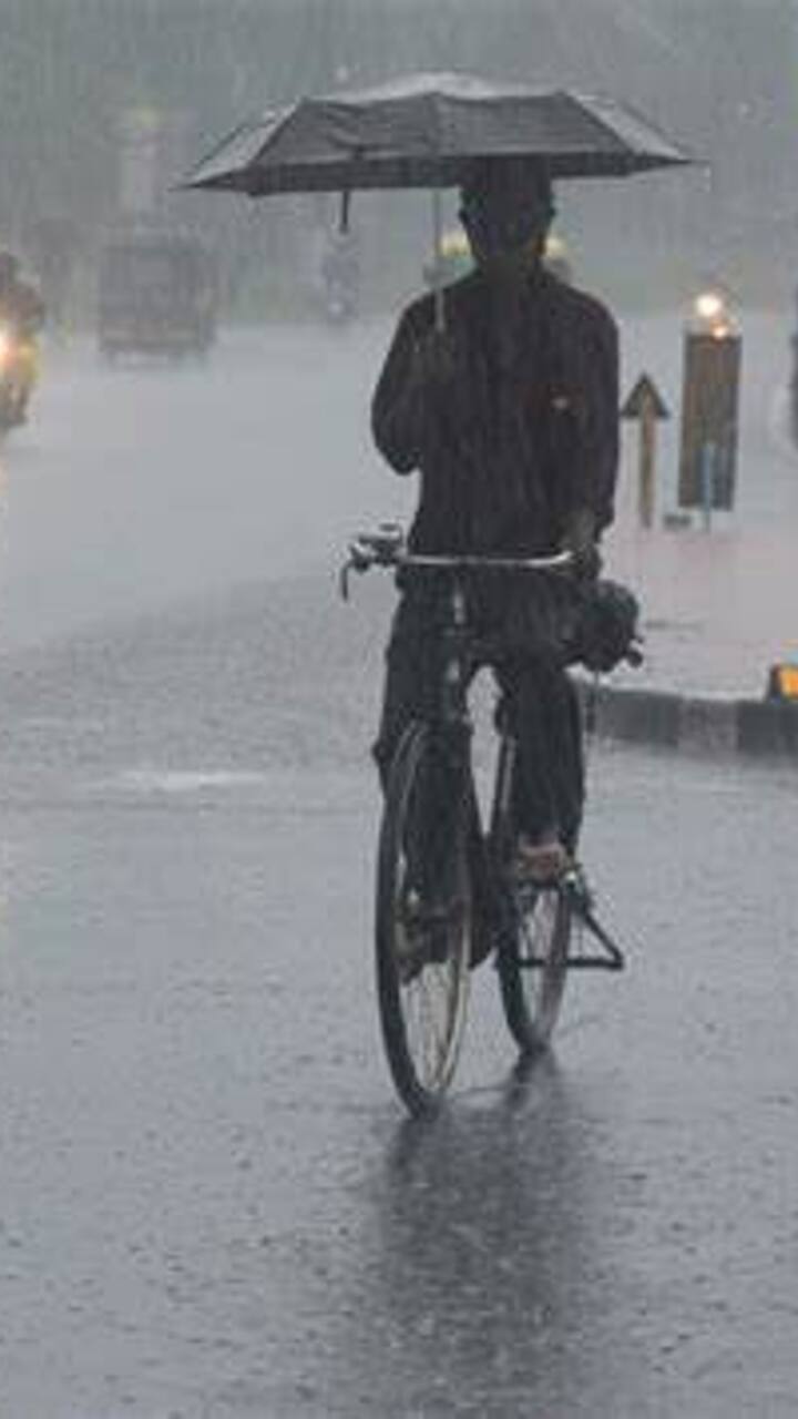 ஜன.28: தமிழக கடலோர மாவட்டங்கள், அதனை ஒட்டிய மாவட்டங்கள் மற்றும் புதுச்சேரி, காரைக்கால் பகுதிகளில்   ஓரிரு   இடங்களில் மிதமான மழை பெய்யக்கூடும்.