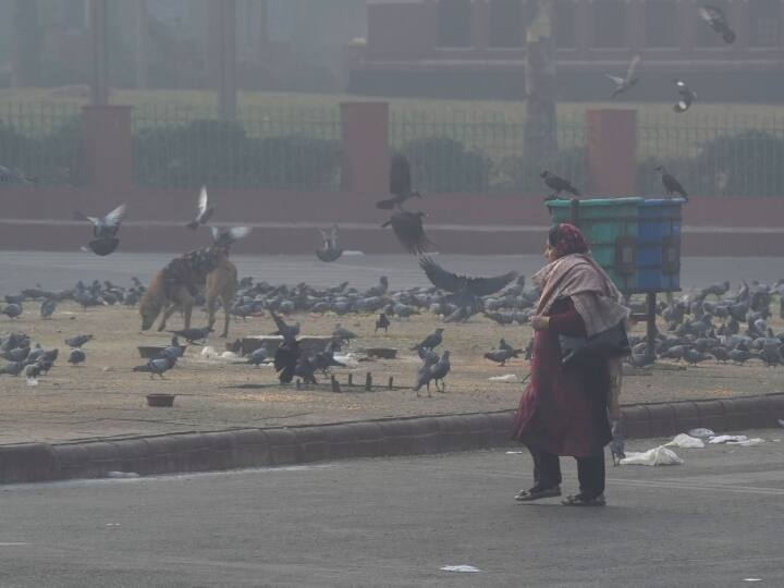 Delhi Weather News Delhi weather changed due to rain winter increase Delhi Weather Update Delhi Weather Update: दिल्ली में बदलेगा मौसम का मिजाज, जानें- राजधानी में कब हो सकती है बारिश?