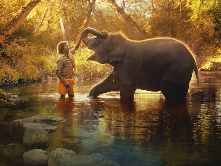 Oscar Nominations 2023 All That Breathes The Elephant Whisperers Nominated Best Documentary Feature Short Subject category Oscar Nominations 2023: ஆஸ்கார் விருது பட்டியலில் தமிழ்நாட்டை மையப்படுத்திய ஆவணப்படம்.... விருது வெல்லுமா ’தி எலிஃபண்ட் விஸ்பரர்ஸ்’?